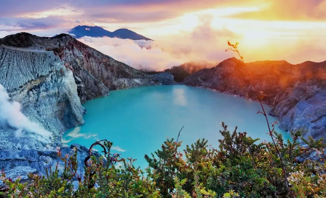 Bromo Biosphere