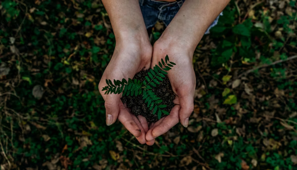 Planting Trees